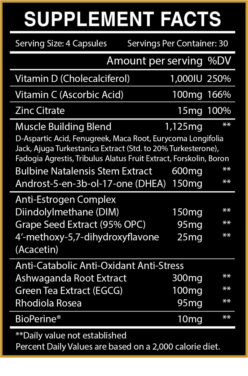 CENTURION LABZ UPRISING