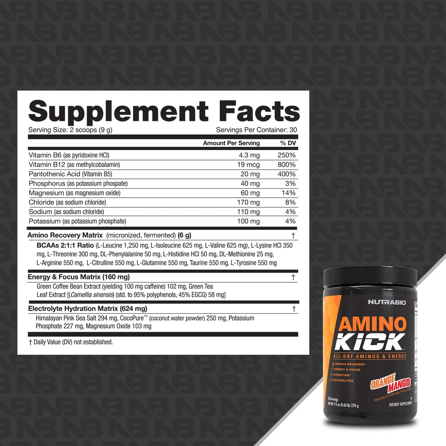 NUTRA BIO AMINO KICK